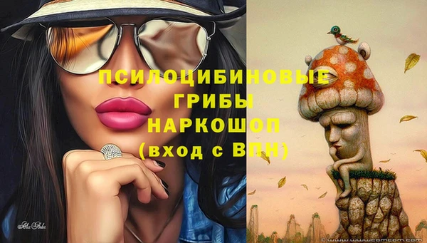 амф Нея
