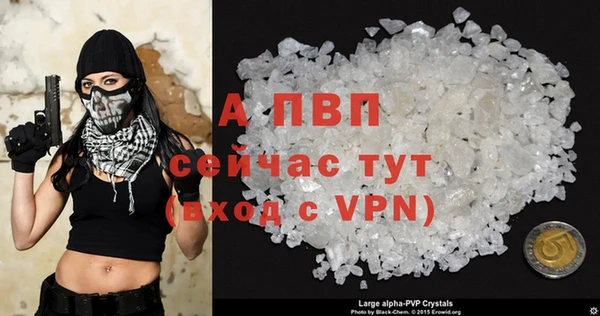 2c-b Новозыбков