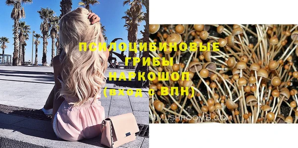 бошки Нефтегорск