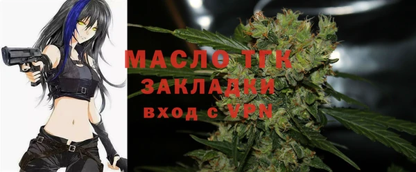 2c-b Новозыбков