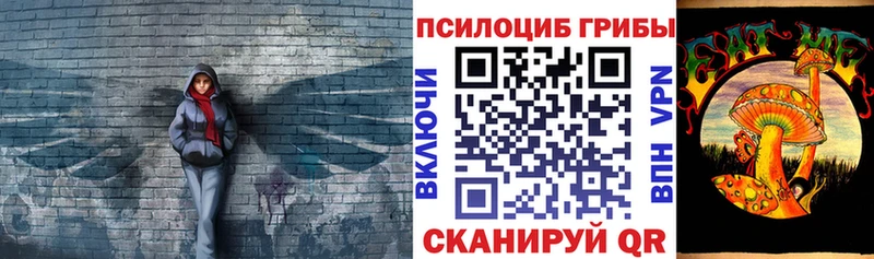 Галлюциногенные грибы Psilocybe  Краснообск 